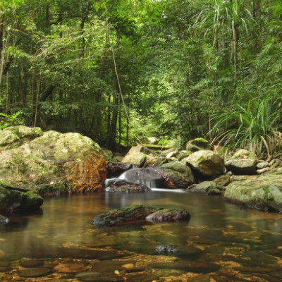 1920 x 1080 HD Wallpapers 334